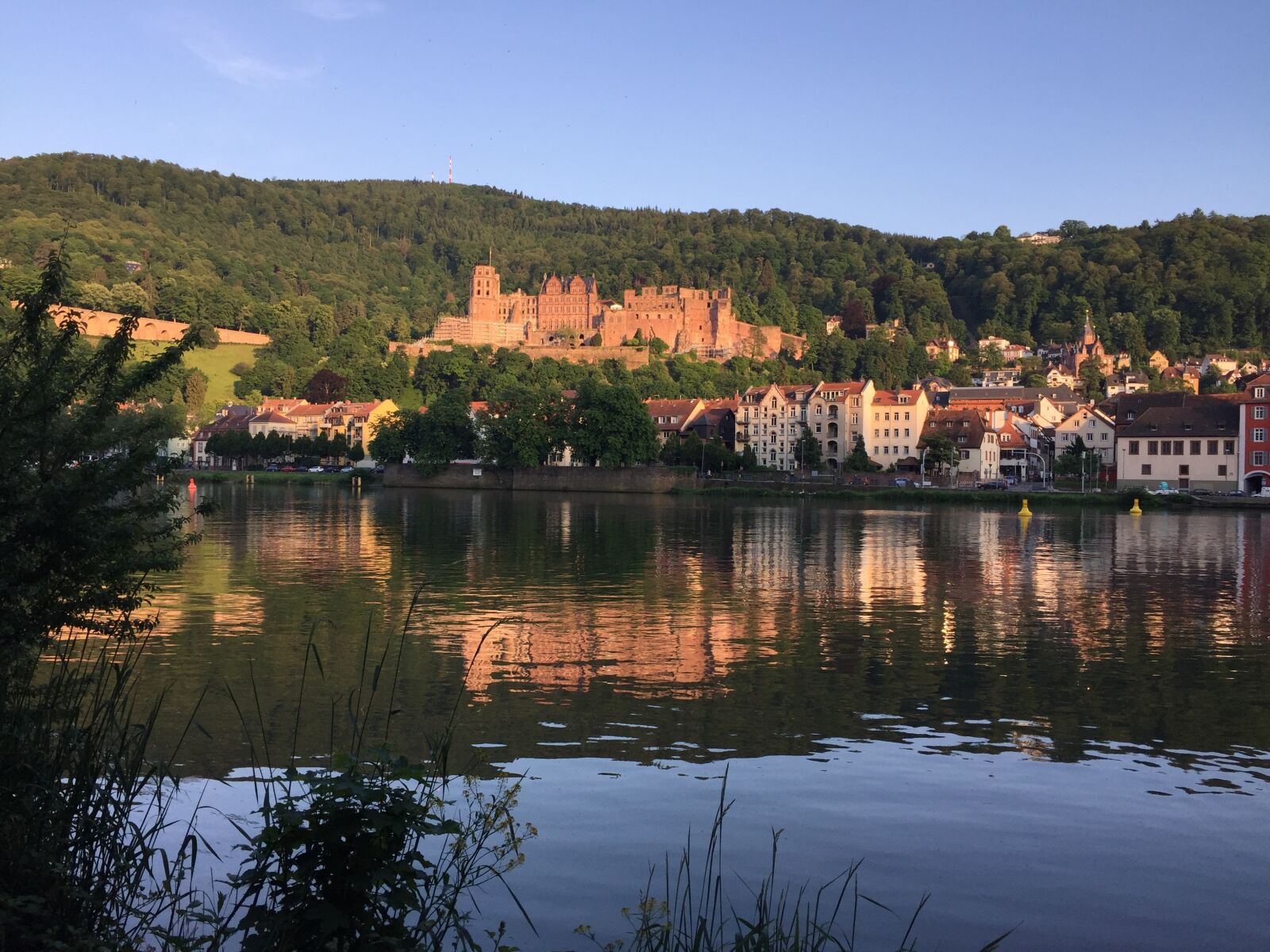 Apple iPhone 6 sample photo. Heidelberg, castle, heidelberger schloss photography