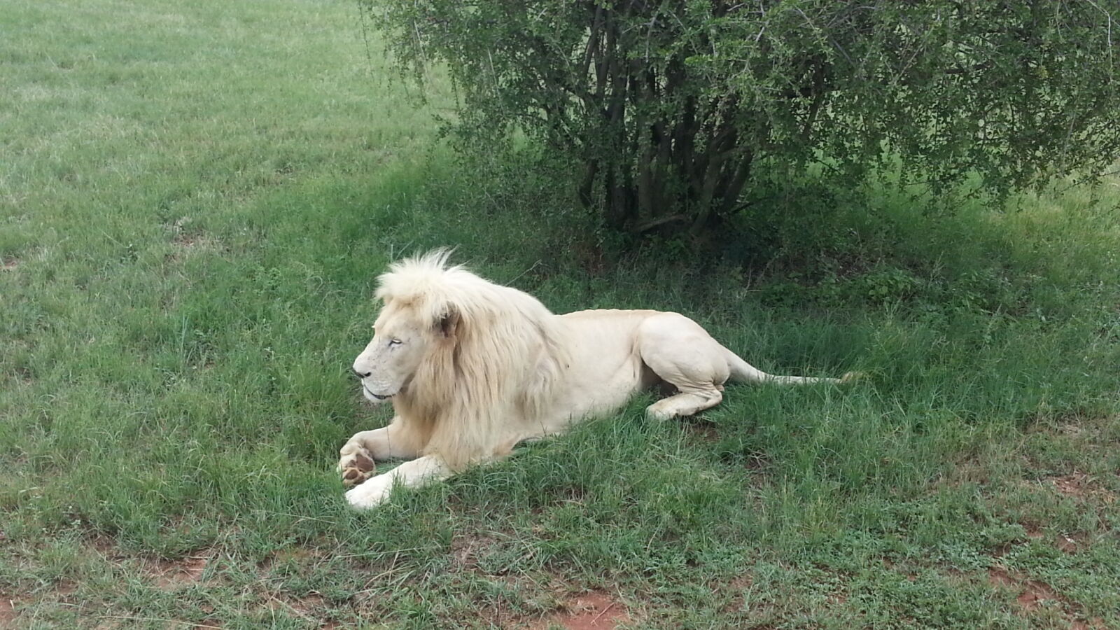 Samsung Galaxy Note2 sample photo
