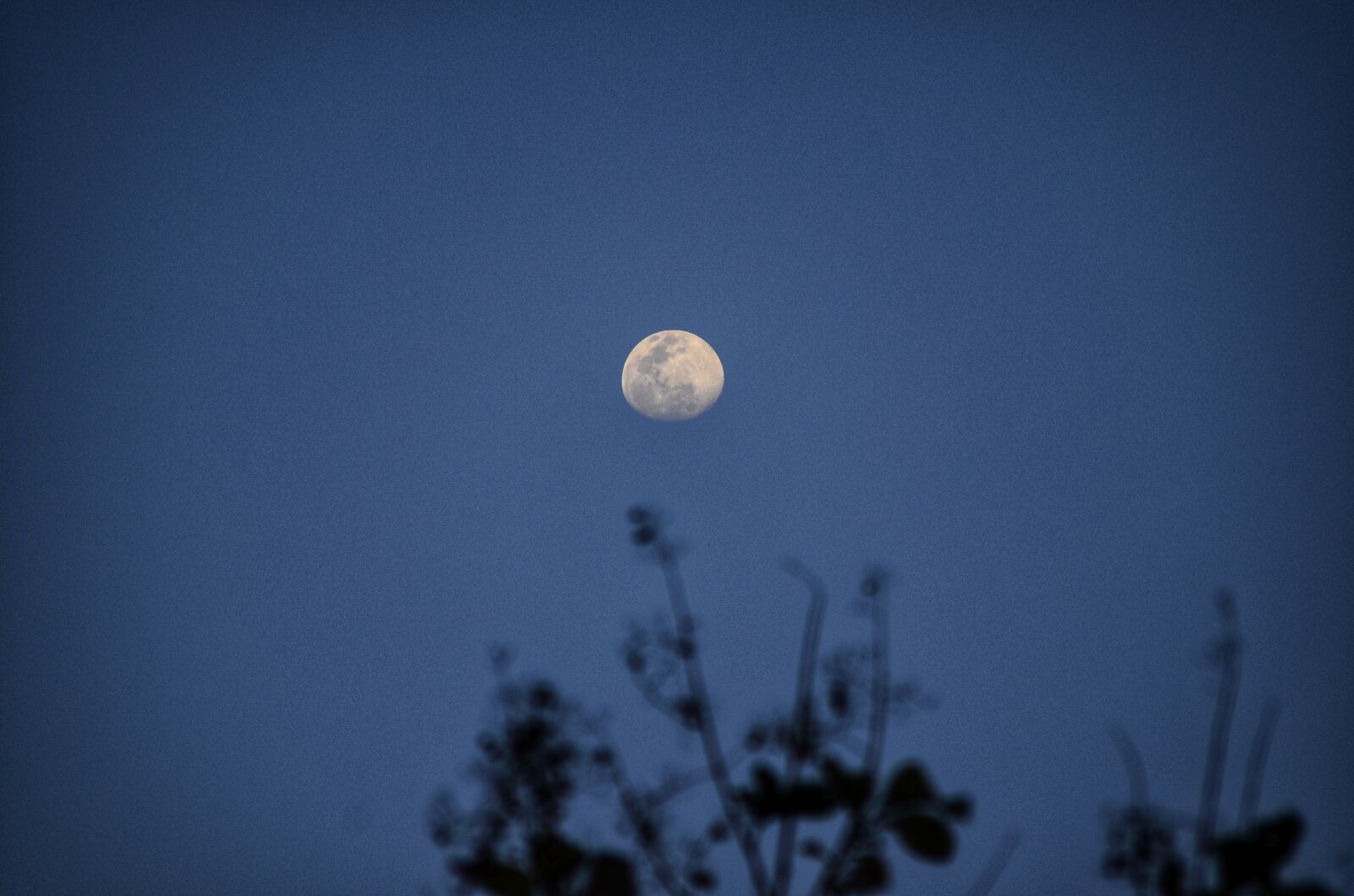Nikon D5100 sample photo. Moon, light, full moon photography