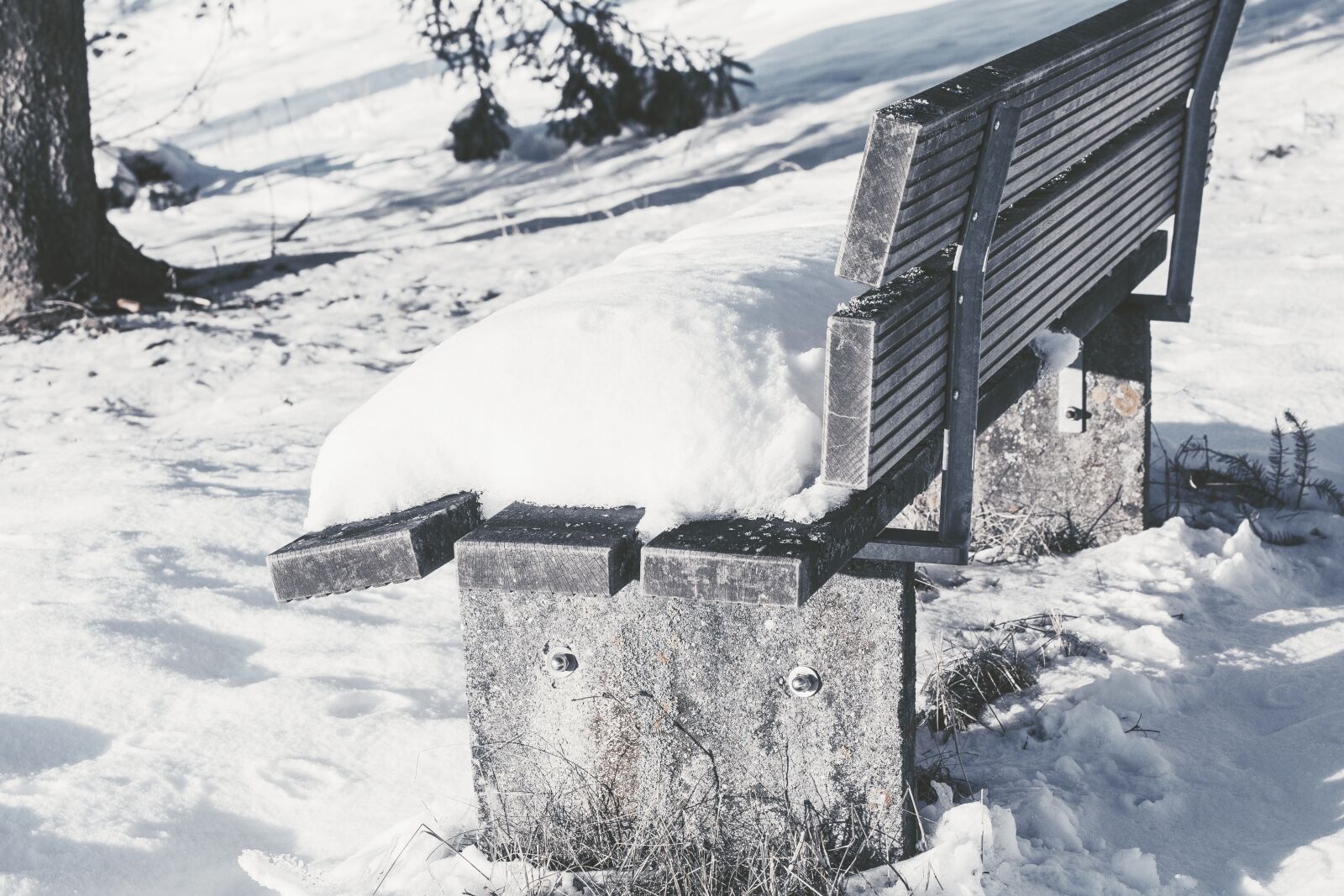 Canon EF 70-300mm F4-5.6 IS USM sample photo. Snow, winter, wintry photography