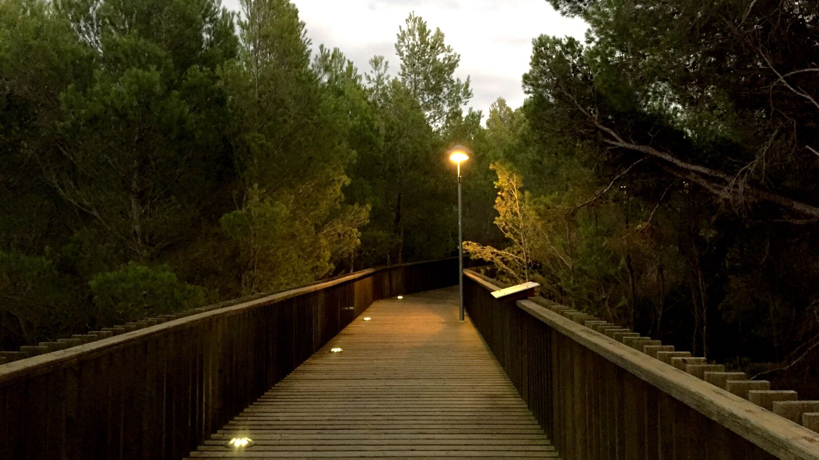 Apple iPhone 6 sample photo. Bridge, autumn, loneliness photography
