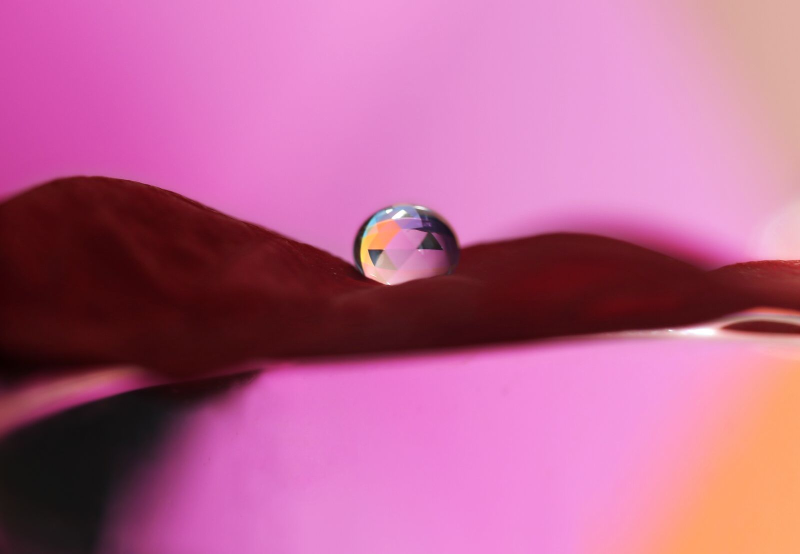 Canon EF-S 60mm F2.8 Macro USM sample photo. Drops, macro, water photography