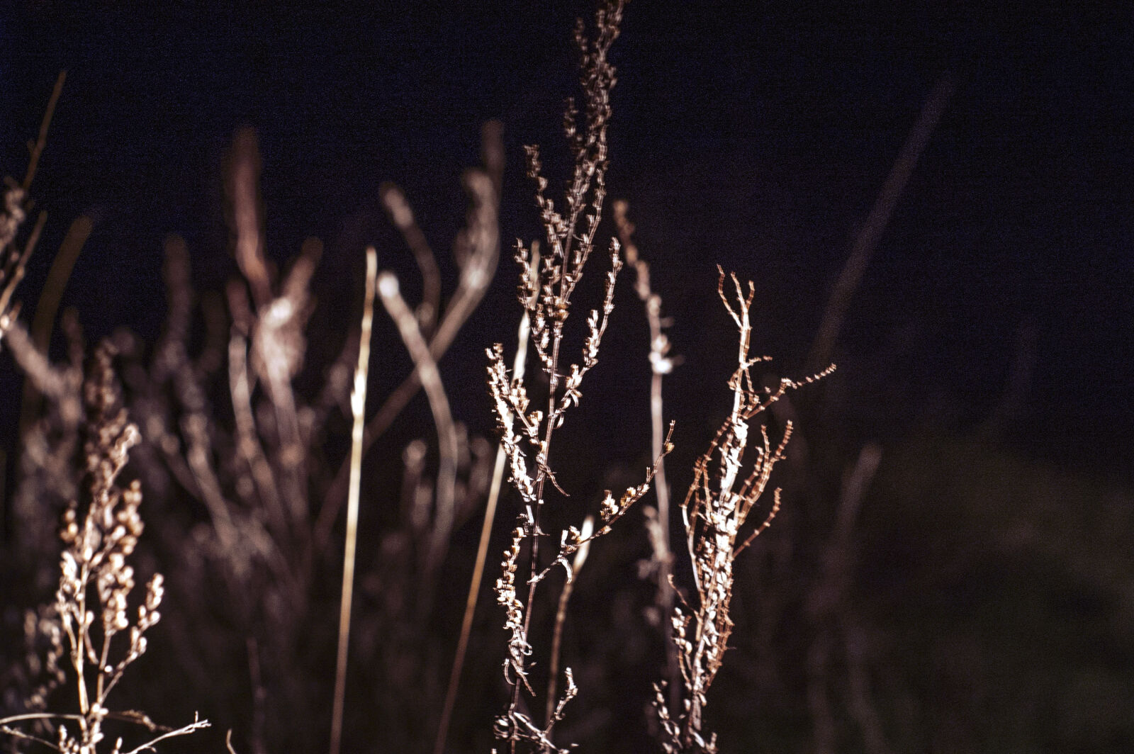 KONICA MINOLTA DYNAX 7D sample photo. Night photography