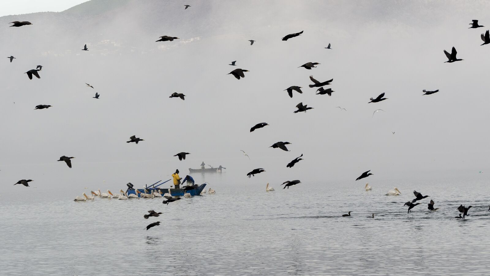 Nikon D7000 sample photo. Fog, boat, sky photography
