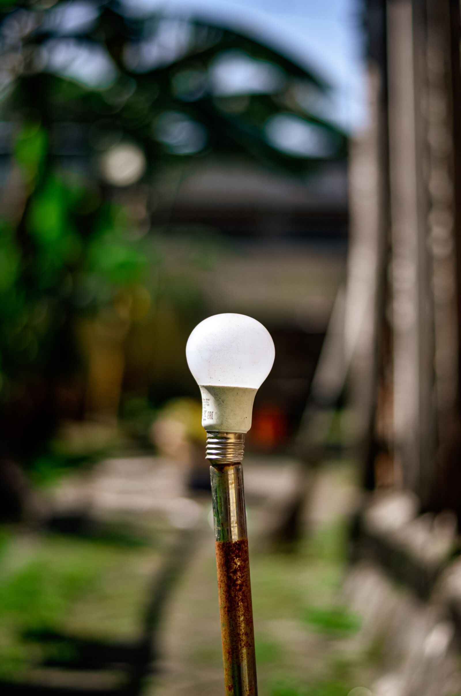 Nikon D5100 sample photo. Light, white, lamp photography
