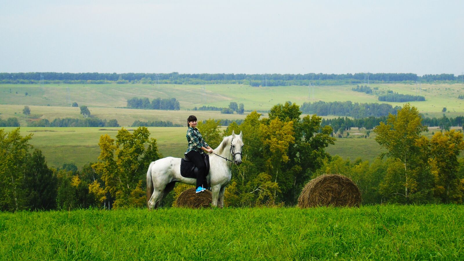 Sony Cyber-shot DSC-H400 sample photo. Russia, siberia, horse photography