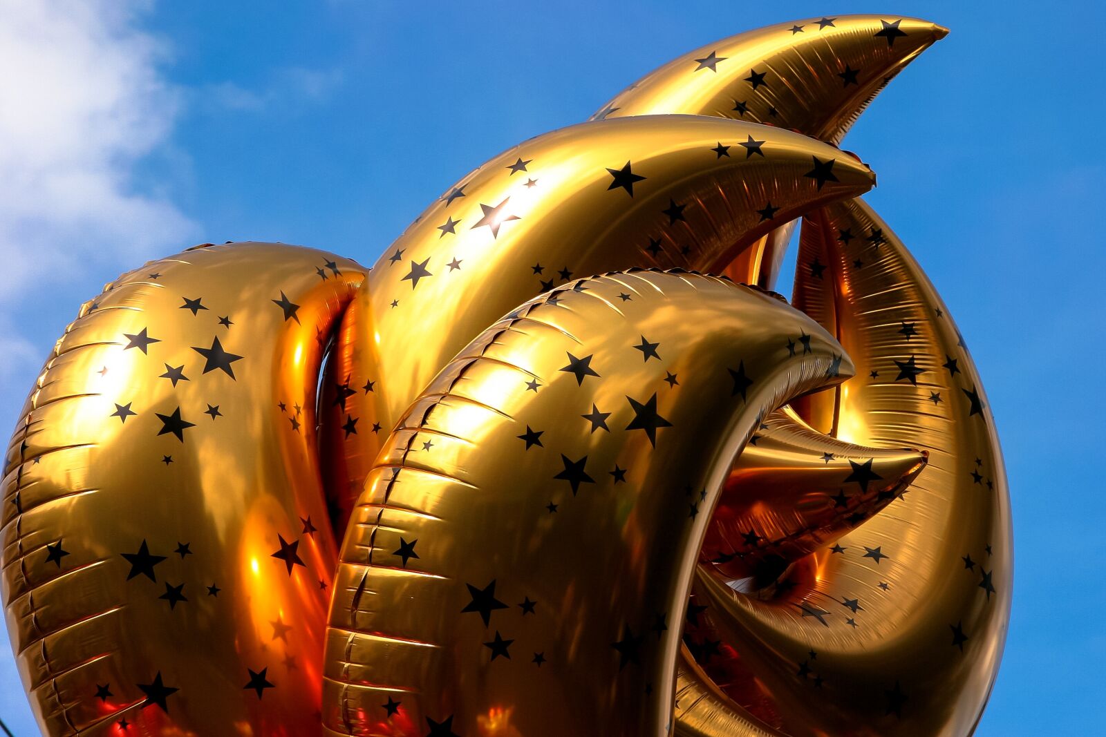 Canon EOS 10D sample photo. Festival, celebration, balloon photography