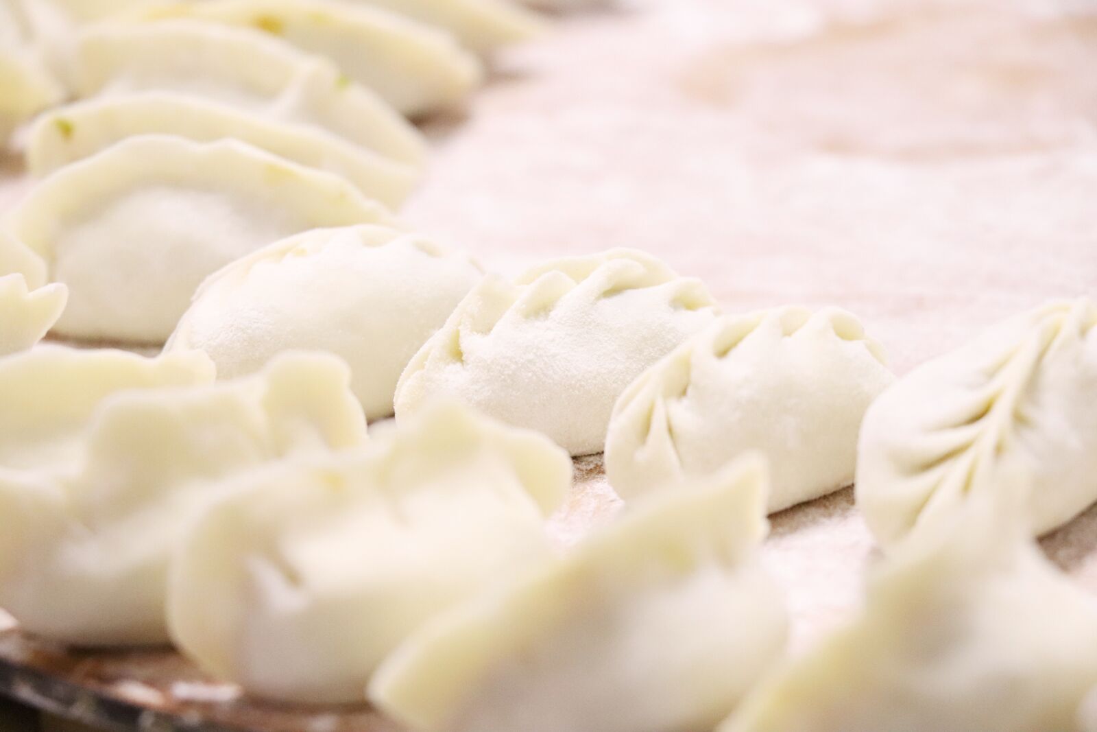 Canon EOS 77D (EOS 9000D / EOS 770D) sample photo. Dumplings, gourmet, chinese new photography