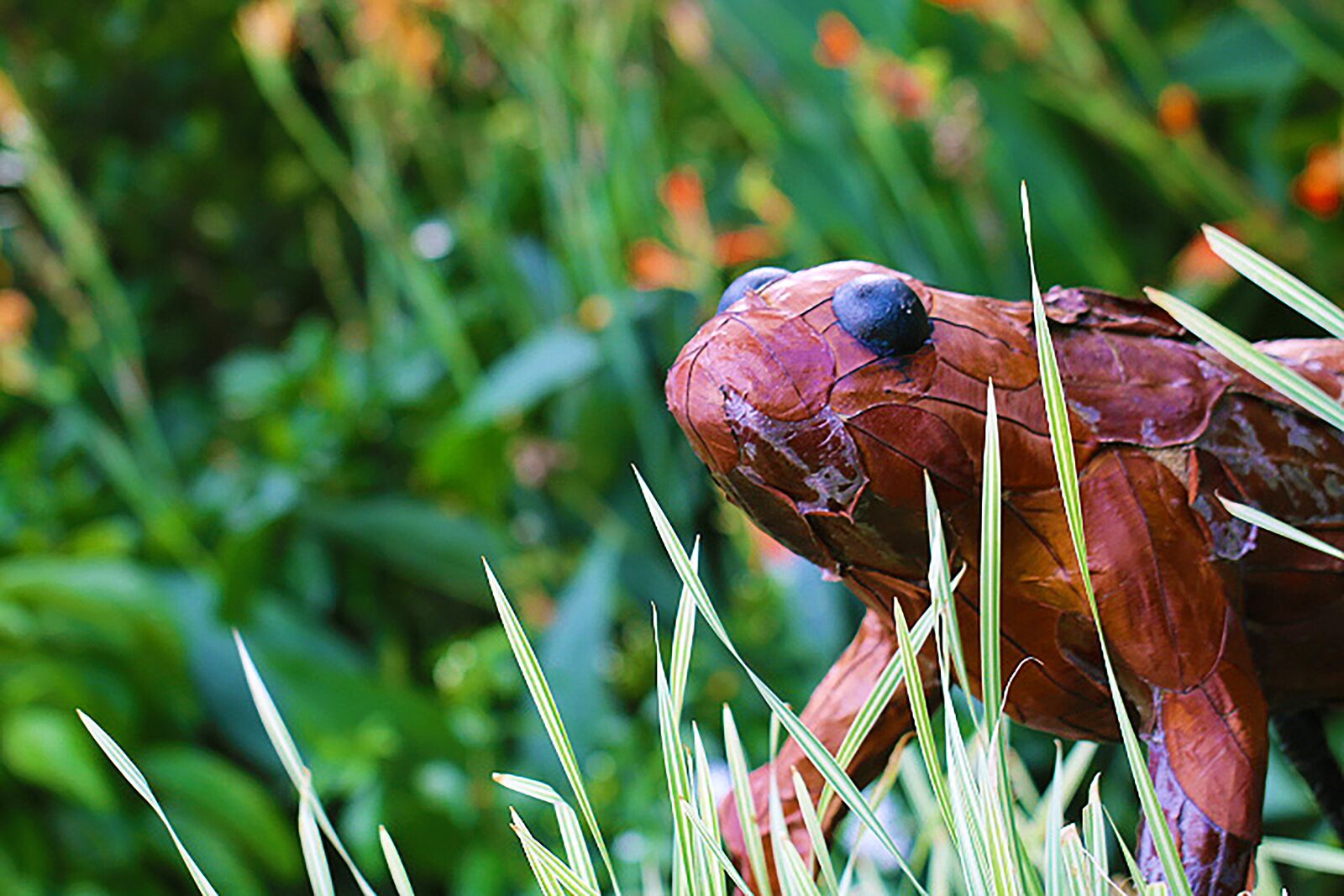 Canon EF 100mm F2.8L Macro IS USM sample photo. Frog, brown, nature photography