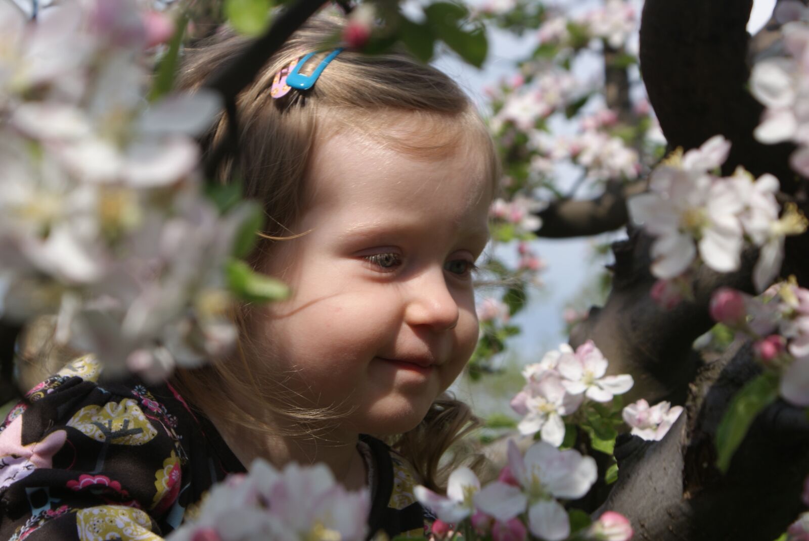 Sony Alpha DSLR-A200 sample photo. Spring, child, joy photography