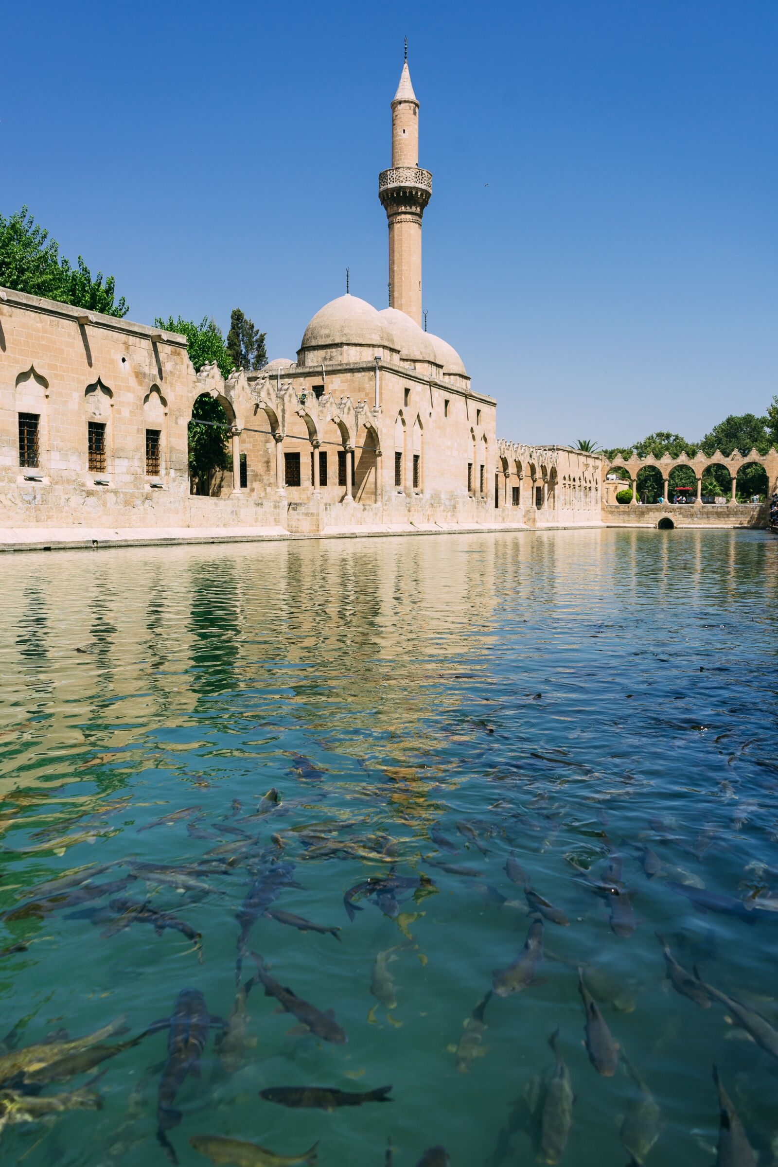 Sony a7 II + Sony FE 28-70mm F3.5-5.6 OSS sample photo. Sanliurfa, urfa, balikligöl photography