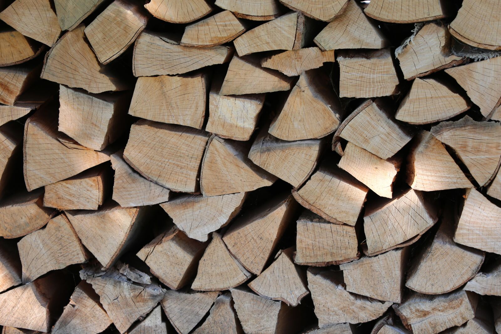 Canon EOS 6D sample photo. Wood, heating season, firewood photography