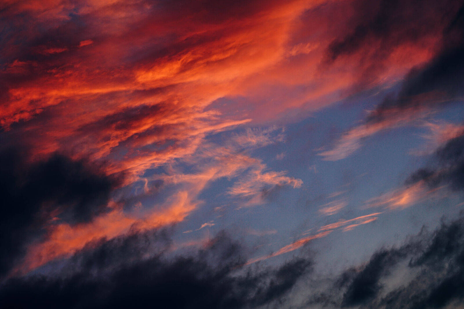 Sony a7 II + Sony FE 24-240mm F3.5-6.3 OSS sample photo. Abstract, air, backgrounds, beauty photography