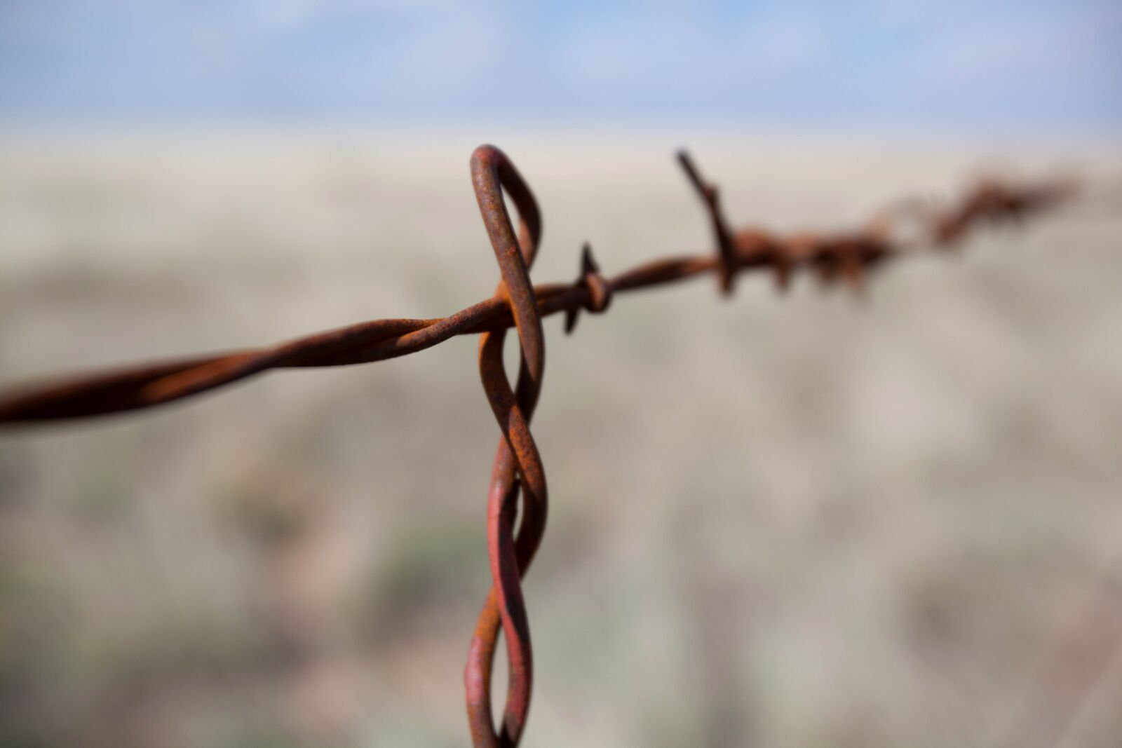 Canon EOS 5D Mark II sample photo. Barbed wire, macro photography