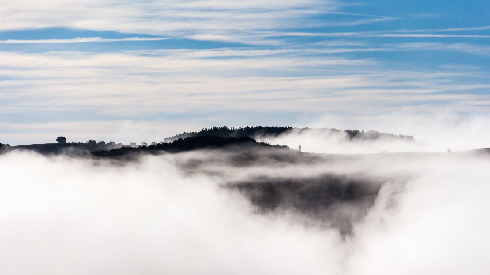 Canon EOS 60D sample photo. Fog, landscape, nature photography