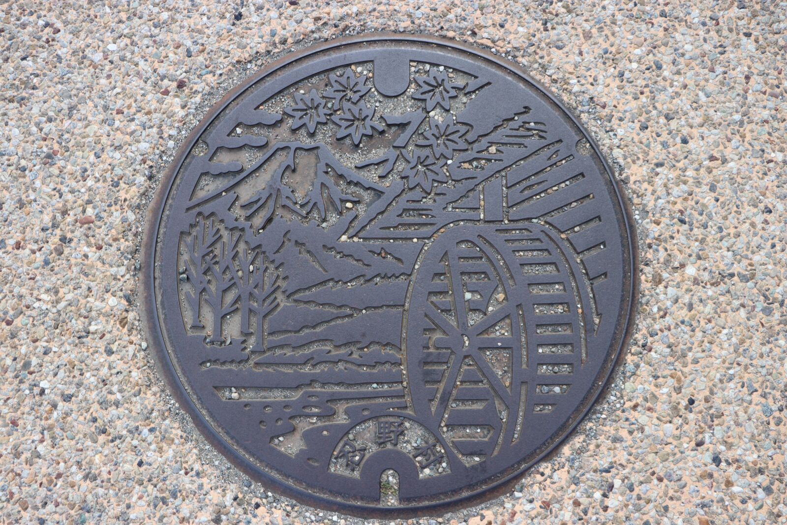 Canon EF-S 18-55mm F4-5.6 IS STM sample photo. Manhole cover, pattern, simple photography