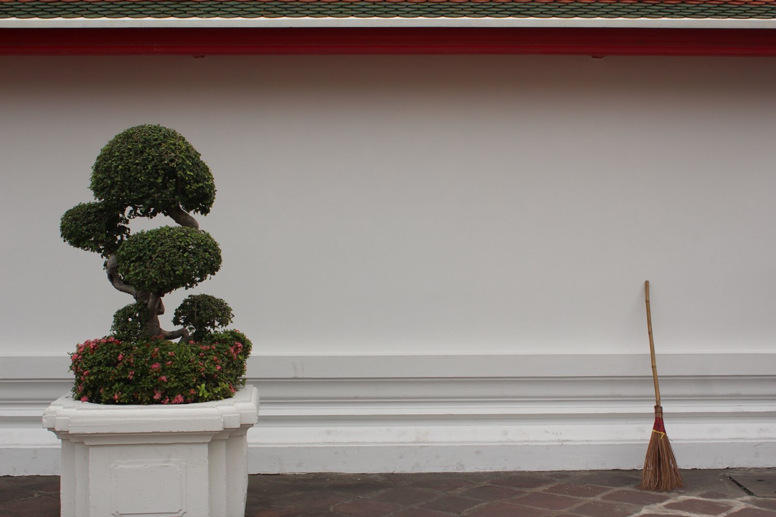 Canon EOS 600D (Rebel EOS T3i / EOS Kiss X5) sample photo. Bonsai tree, tree, bonsai photography