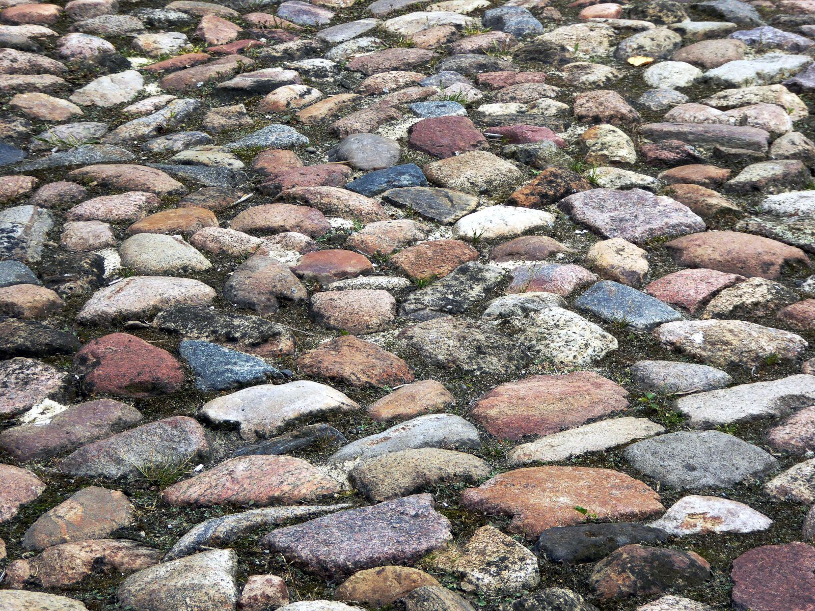 Panasonic DMC-TZ61 sample photo. Paving stones, colorful, old photography