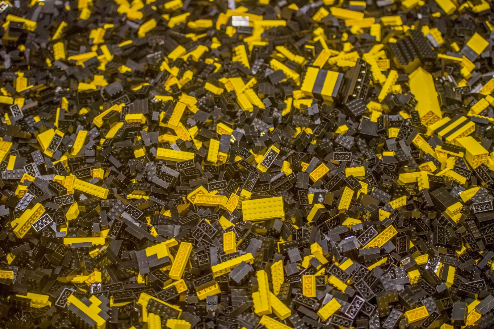 Nikon D5 sample photo. Industry, pattern, batch photography