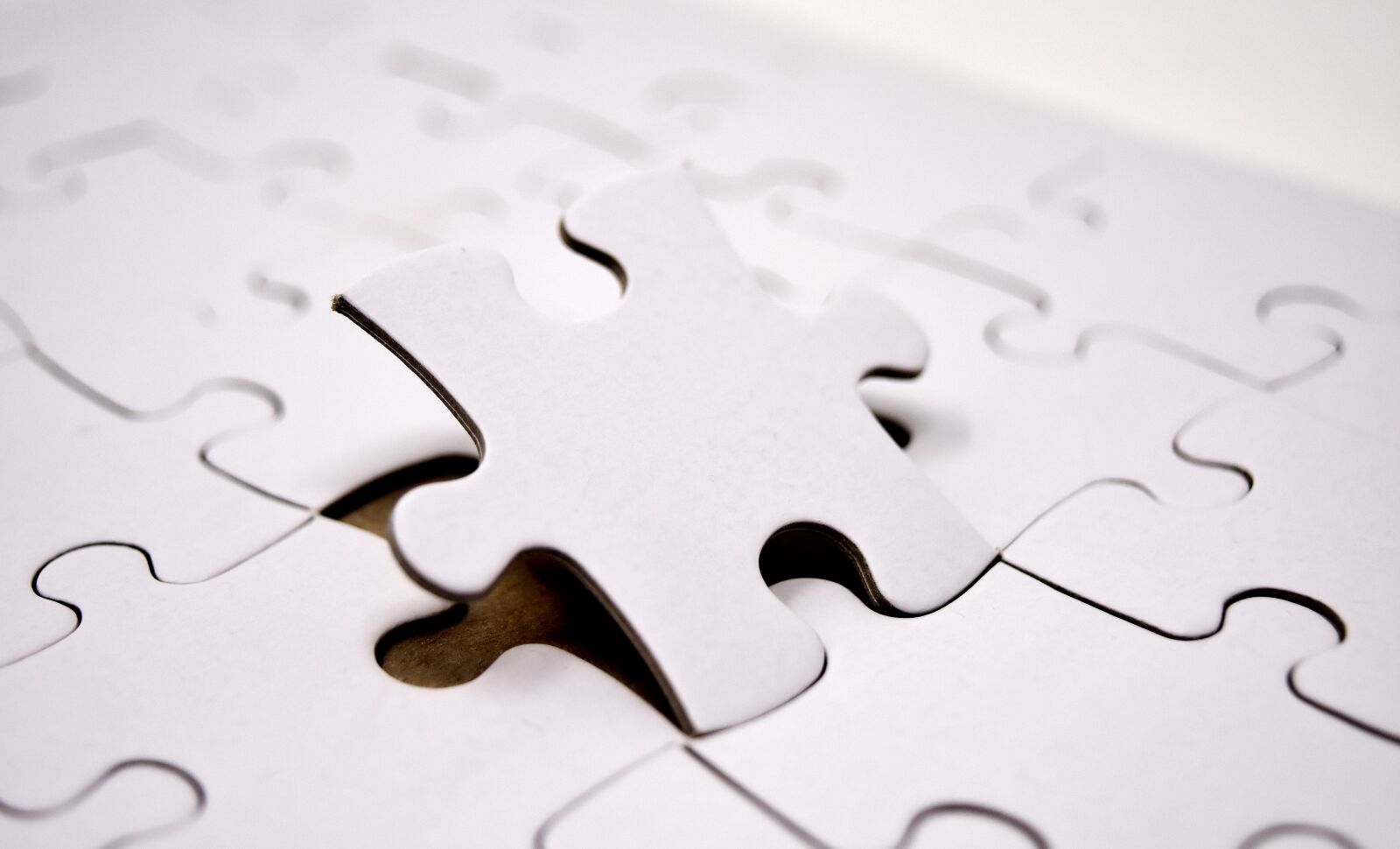 Nikon D7200 sample photo. Puzzle, last part, joining photography