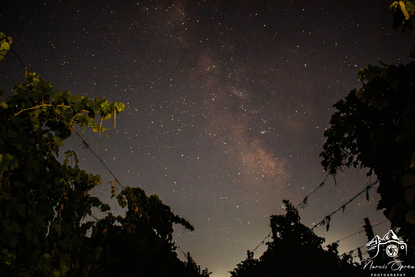 Canon EOS 70D sample photo