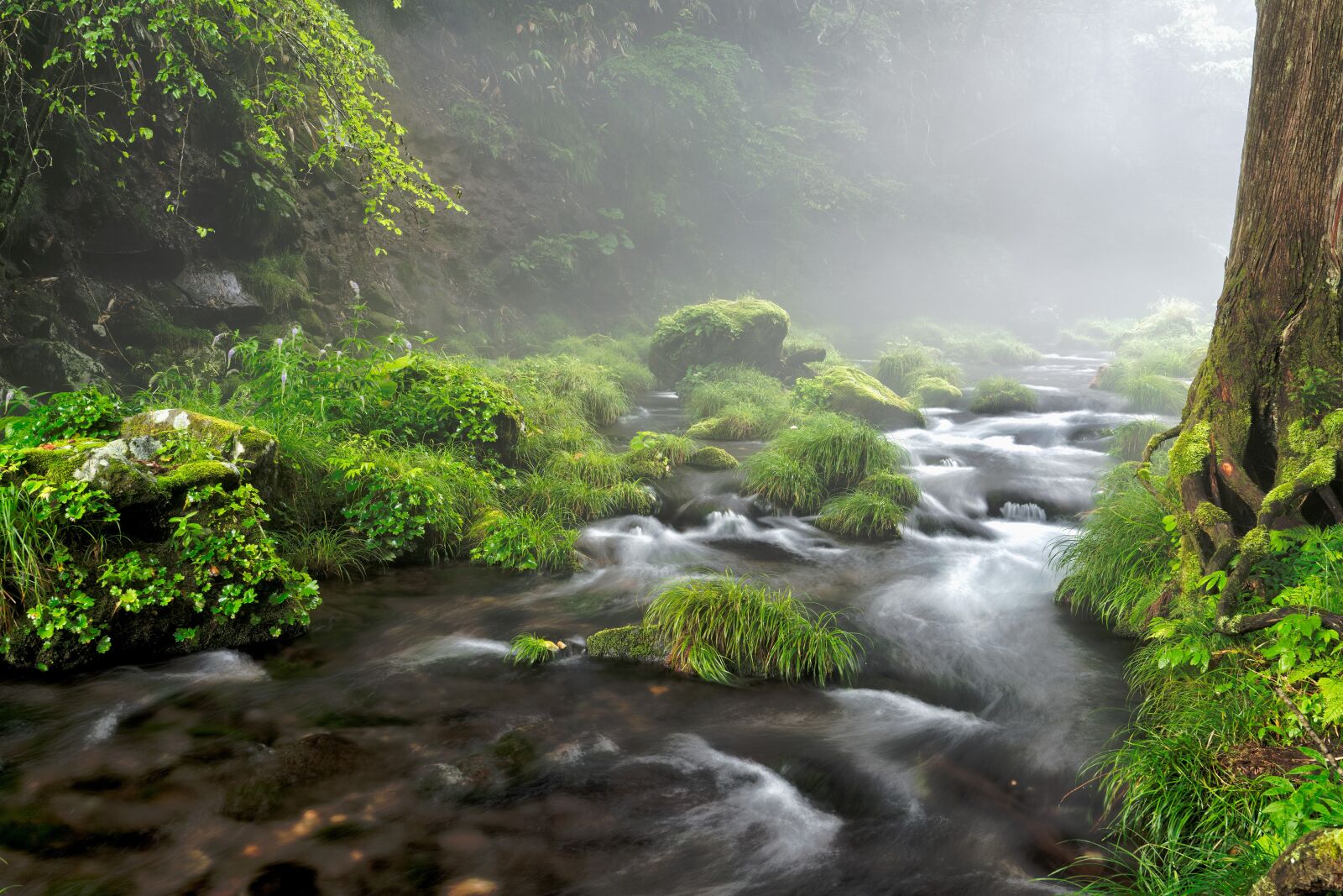 Sony a7R IV sample photo. Brook, river, water photography
