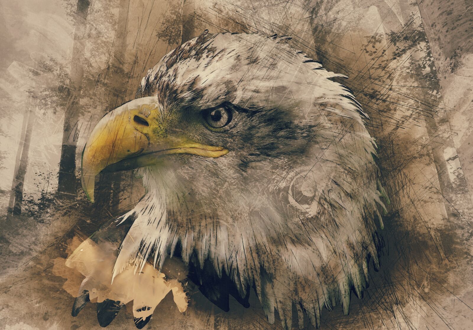 Olympus C750UZ sample photo. Bald eagle, hand drawn photography
