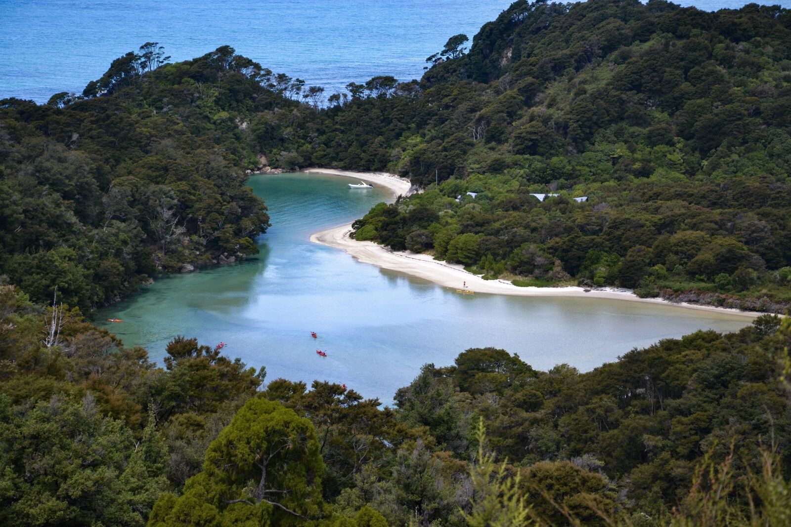 Nikon D3100 sample photo. New zealand, sea, abel photography