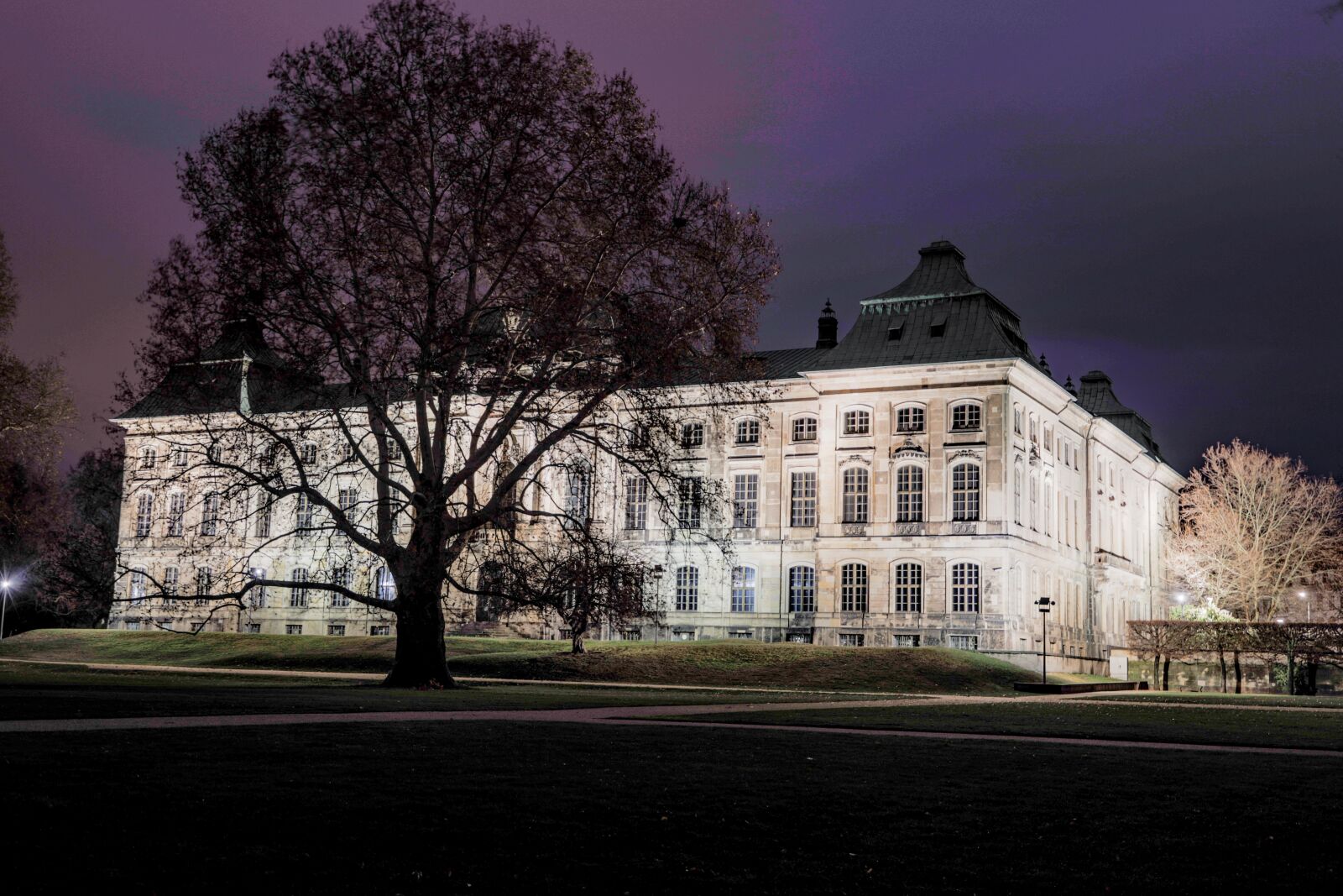 Canon EF 24-105mm F4L IS II USM sample photo. Dresden, japanese, palace photography