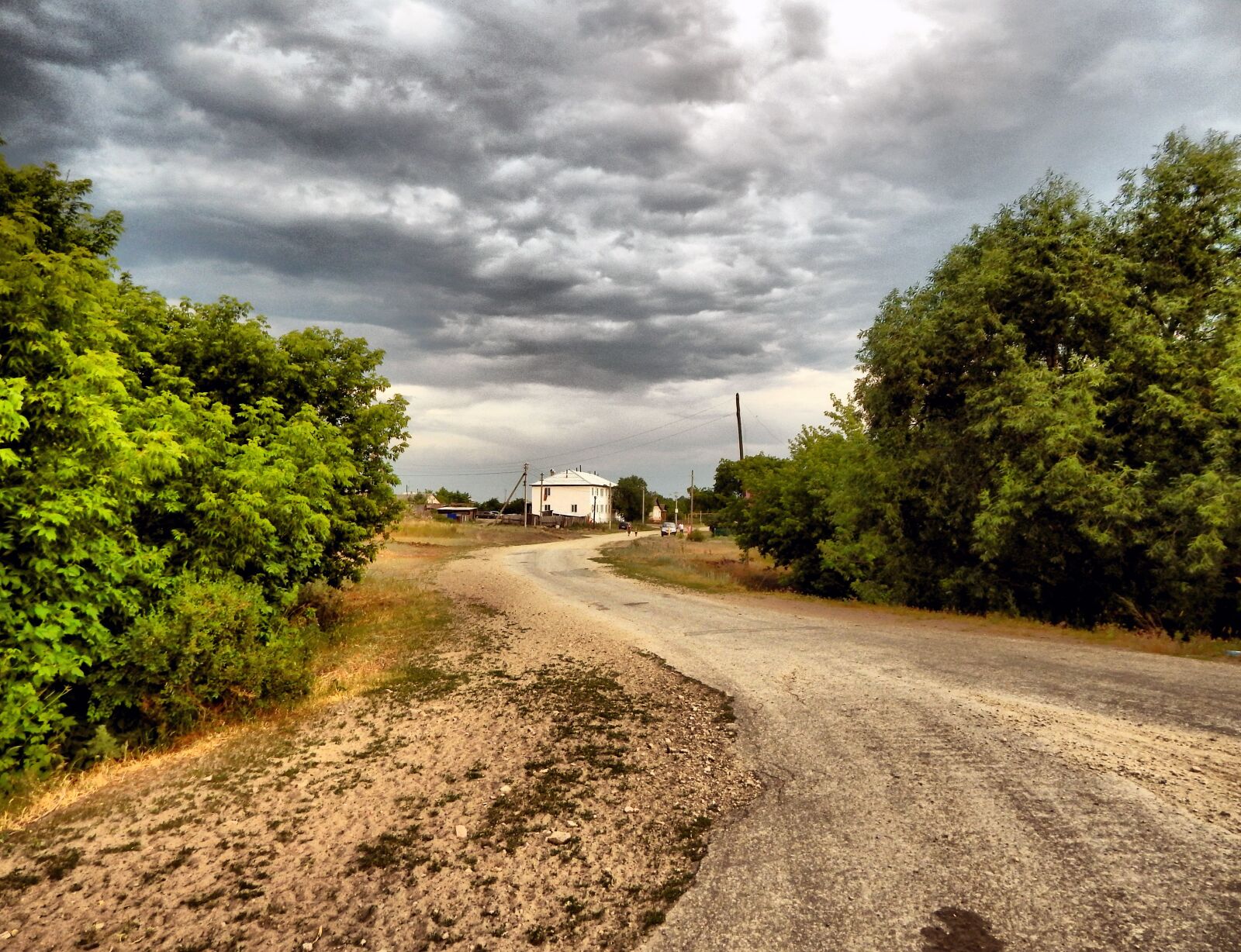 Nikon Coolpix L830 sample photo. Road, nature, tree photography