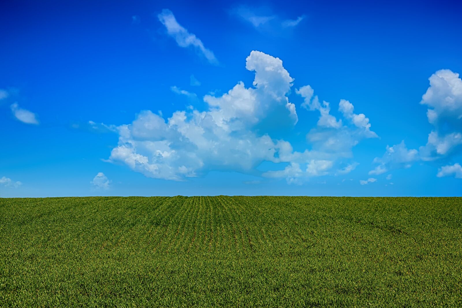 Canon EOS 5D Mark II sample photo. Field, sky, clouds photography
