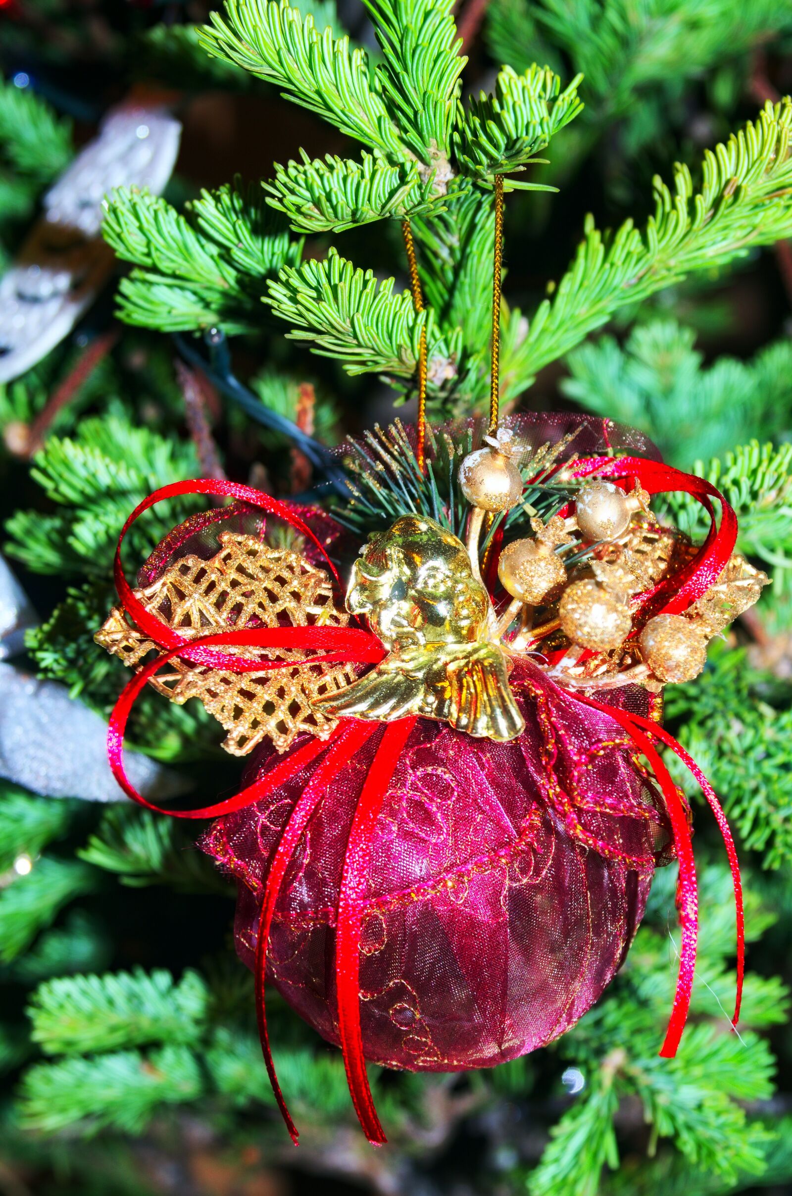 Pentax K-500 sample photo. Christmas tree, toy, new photography