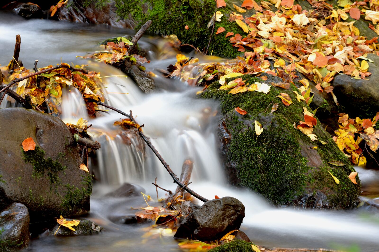 Nikon D3100 sample photo. Autumn, creek, water photography