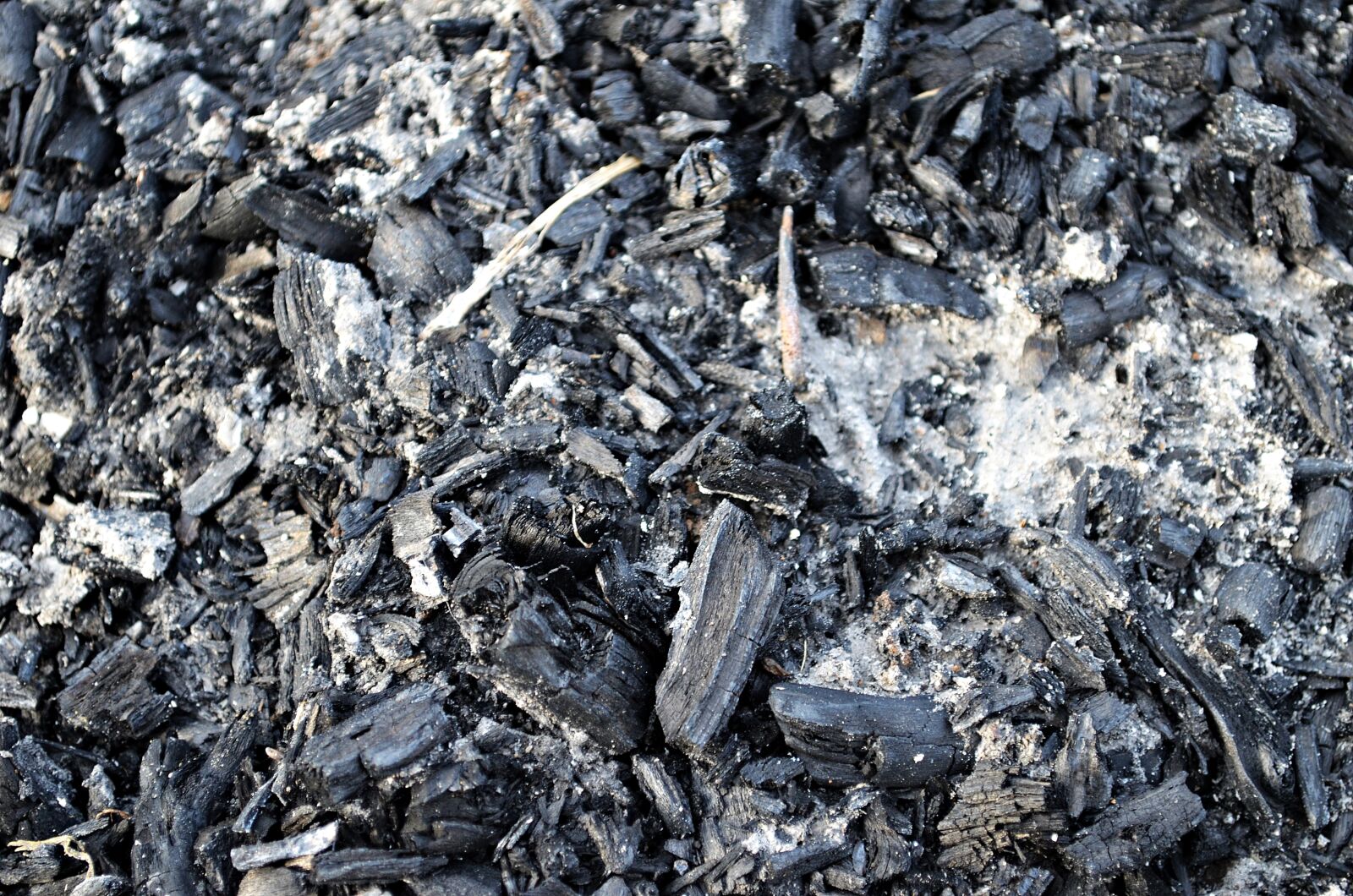 Nikon D5100 sample photo. Ash, texture, background photography