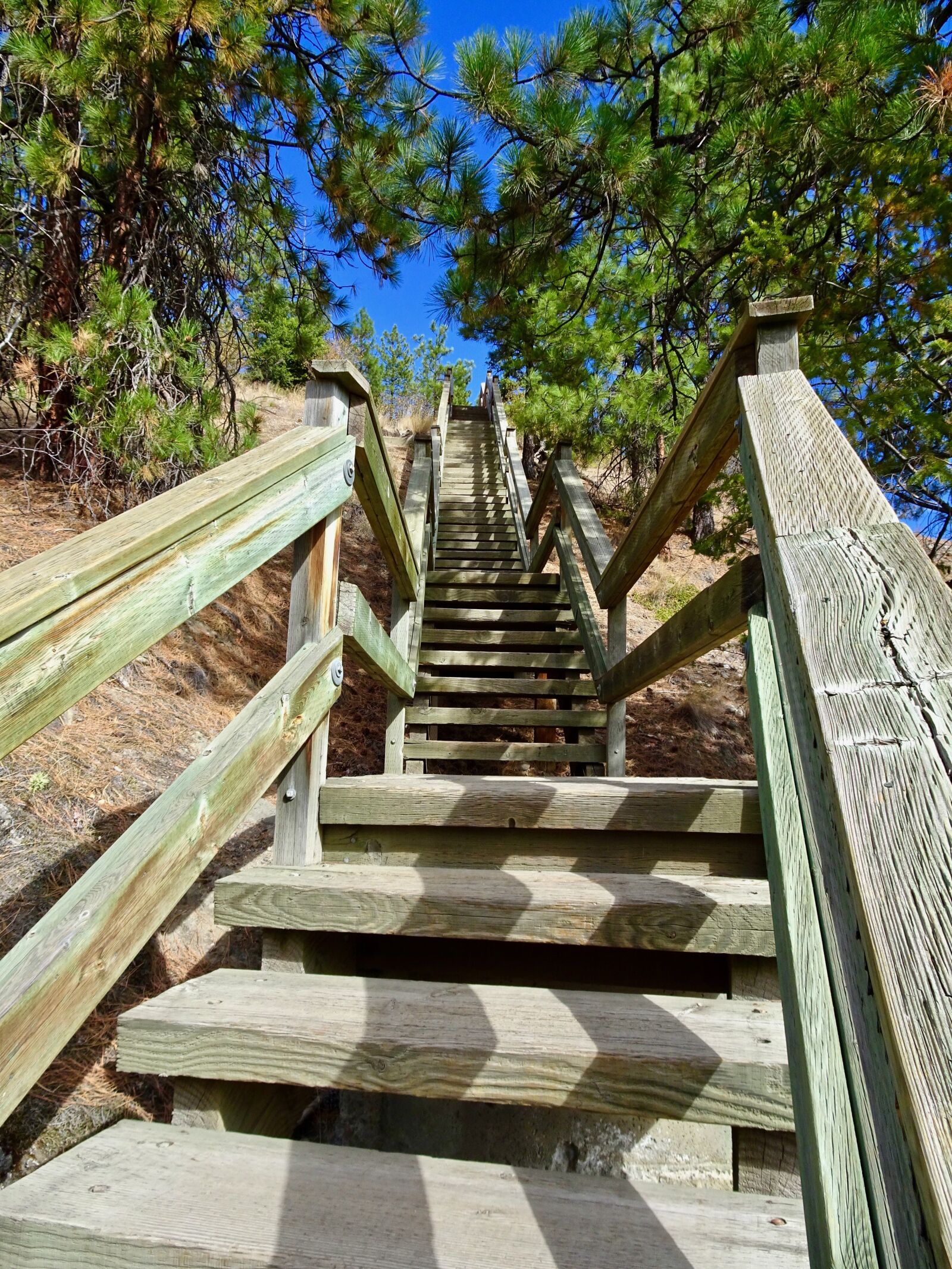 Sony Cyber-shot DSC-HX90V sample photo. Stairway, stairs, wooden photography