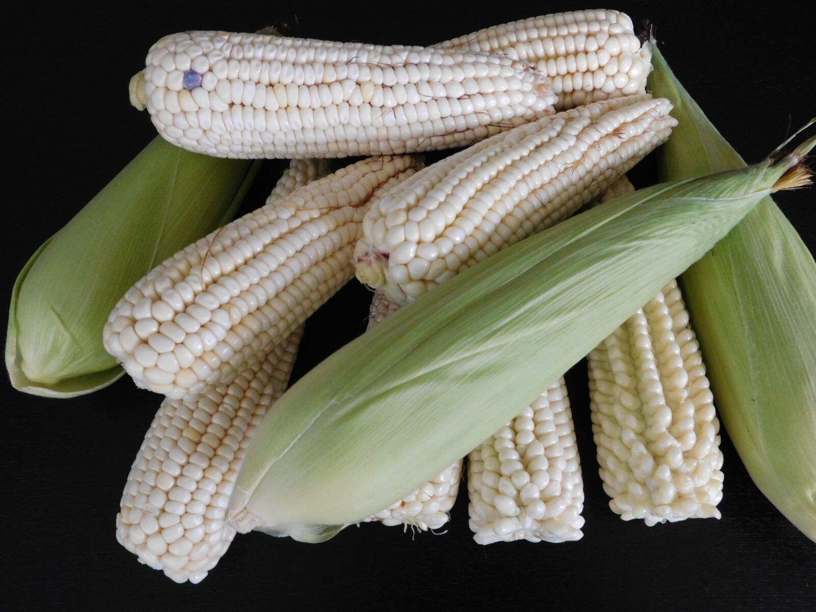 Nikon Coolpix L840 sample photo. Corn, cob, festival photography