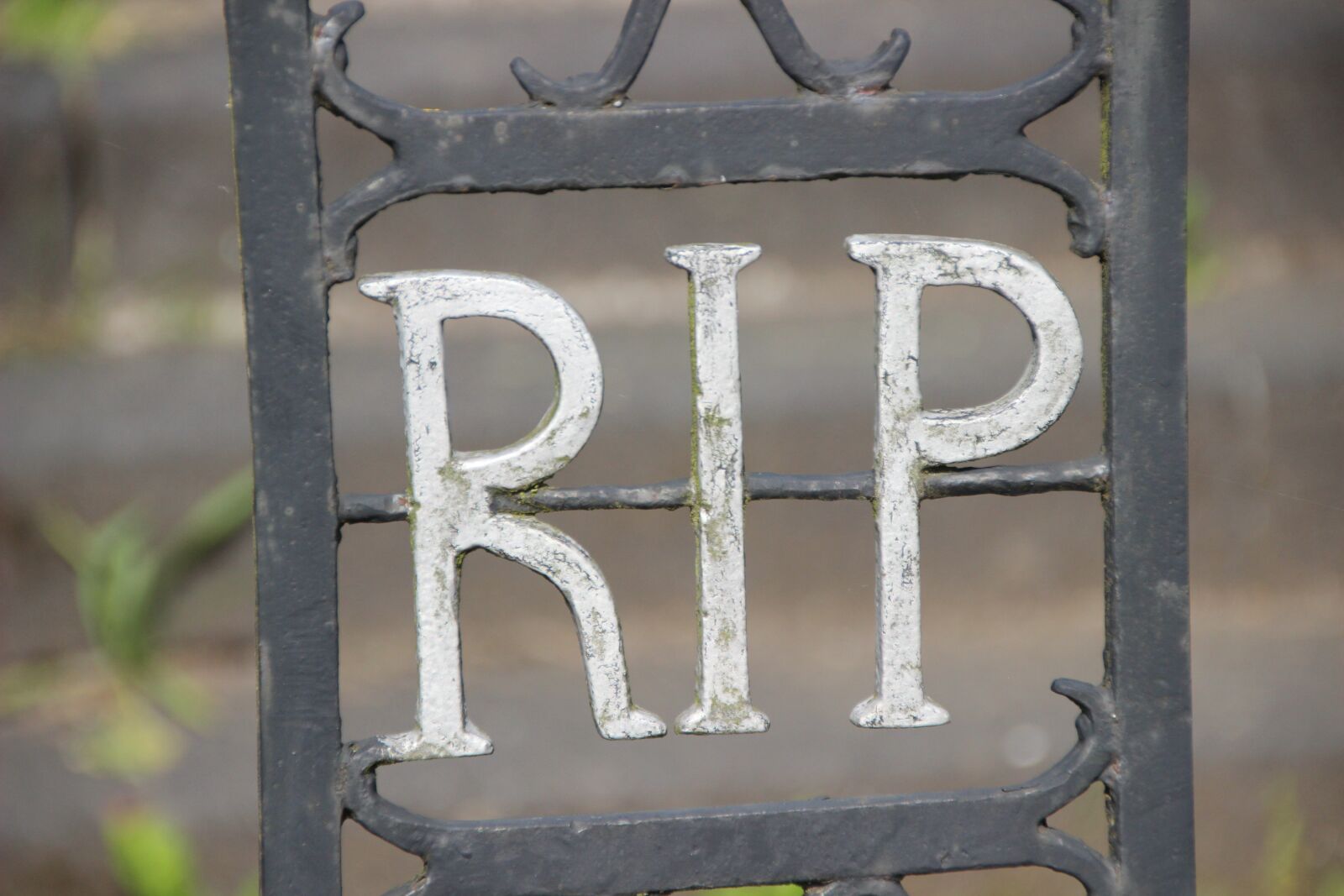 Canon EOS 600D (Rebel EOS T3i / EOS Kiss X5) sample photo. Cemetery, funeral, goal photography
