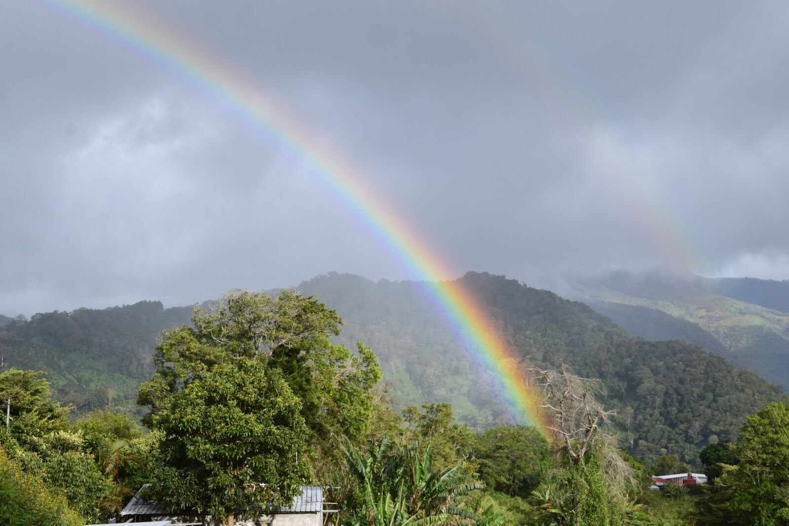 Nikon D5300 sample photo. Rainbow, nature, landscape photography
