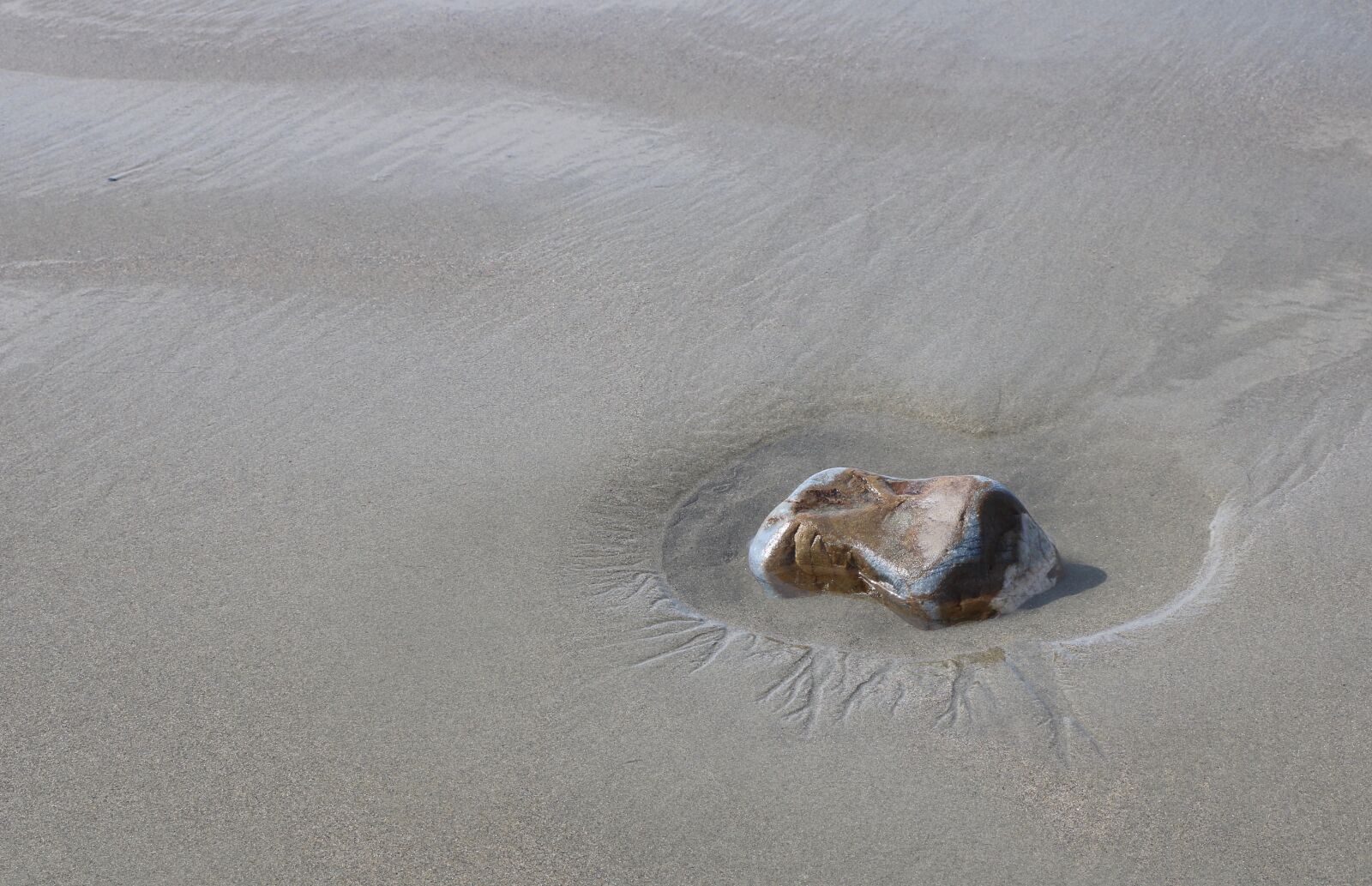 Canon EOS 750D (EOS Rebel T6i / EOS Kiss X8i) sample photo. Brittany, beach, nature photography