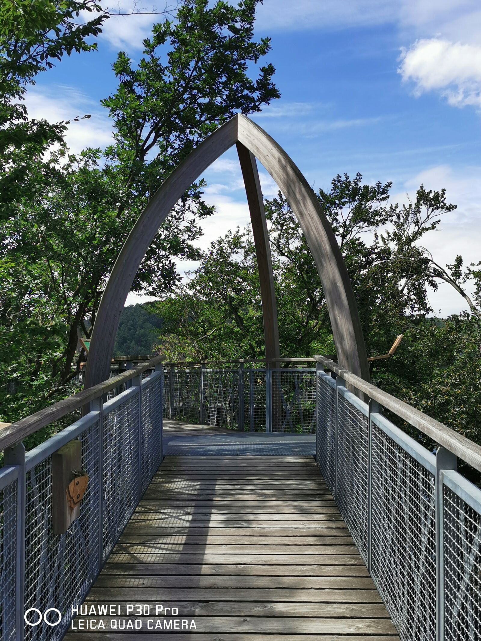 HUAWEI P30 Pro sample photo. Edersee, treetop walk, tree photography