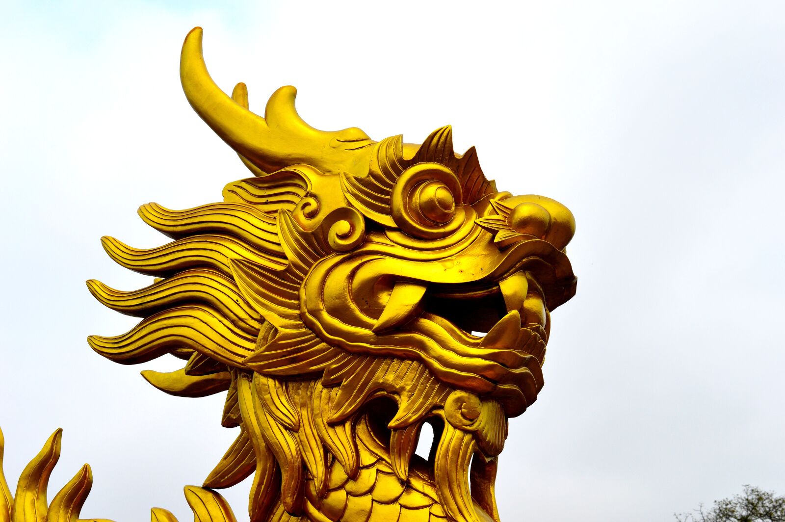 Nikon D3200 sample photo. Vietnam, dragon, vietnamese photography