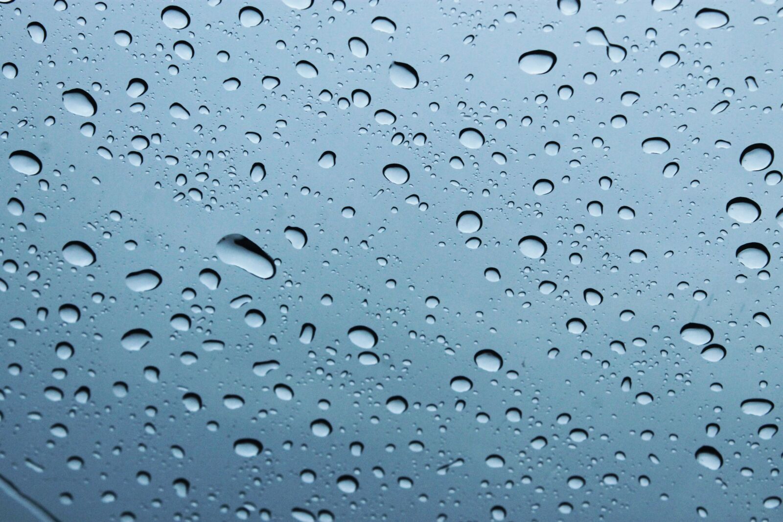 Canon EOS 1100D (EOS Rebel T3 / EOS Kiss X50) sample photo. Drops, rain, wet photography