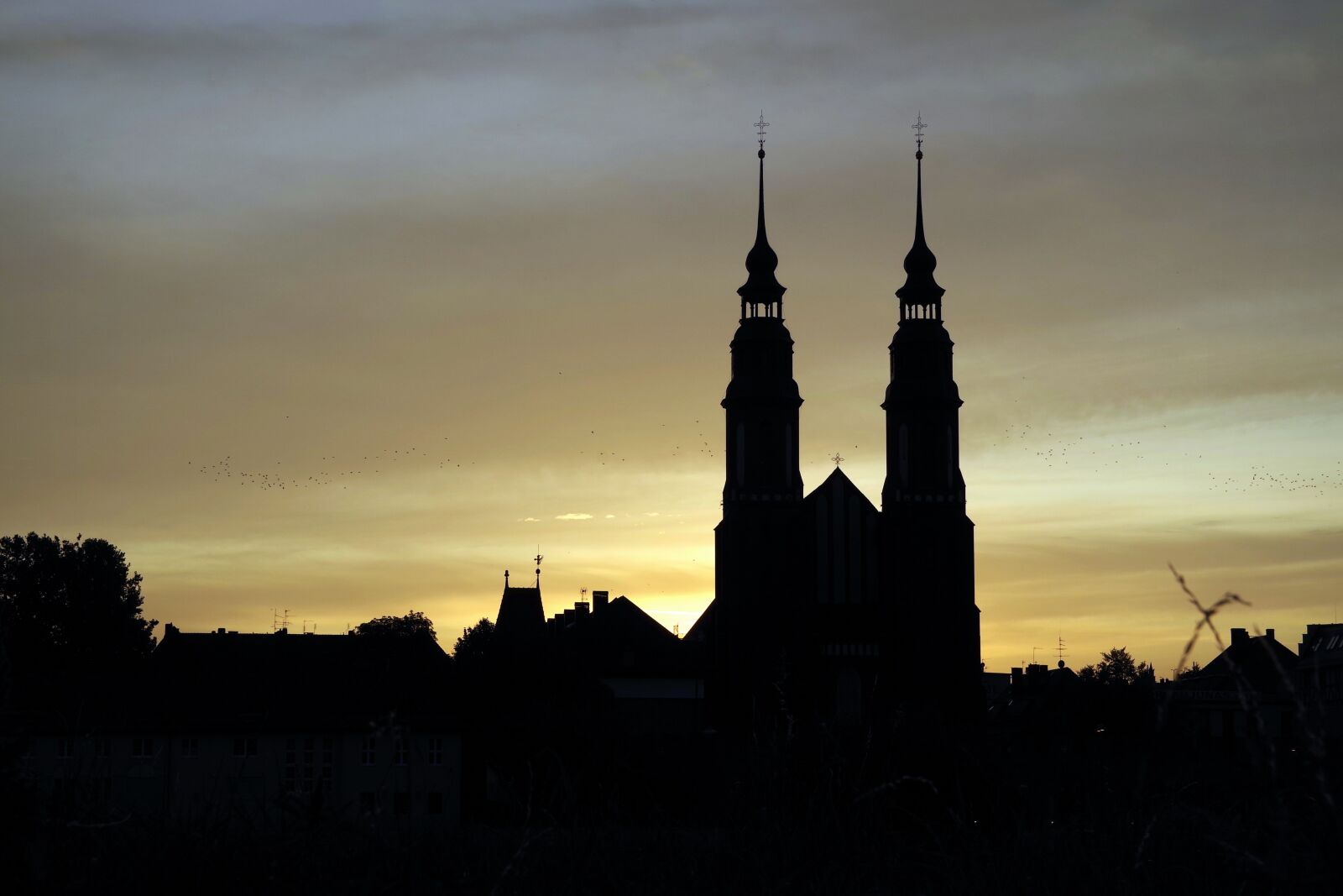 Pentax K-S2 sample photo. City, panorama, opole photography