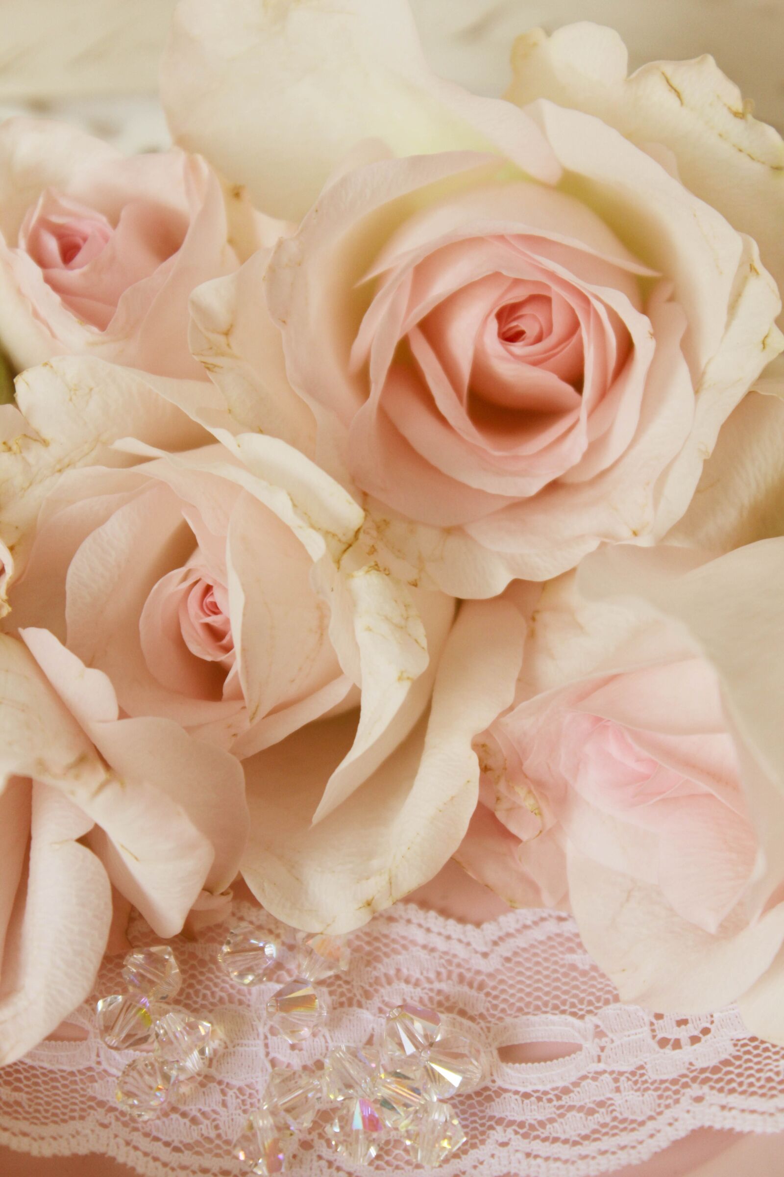 Canon EOS 600D (Rebel EOS T3i / EOS Kiss X5) sample photo. Pink roses, beads, background photography