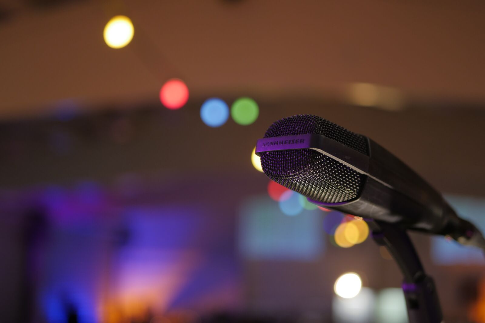 Panasonic Lumix DMC-GX8 sample photo. Microphone, garland, concert photography