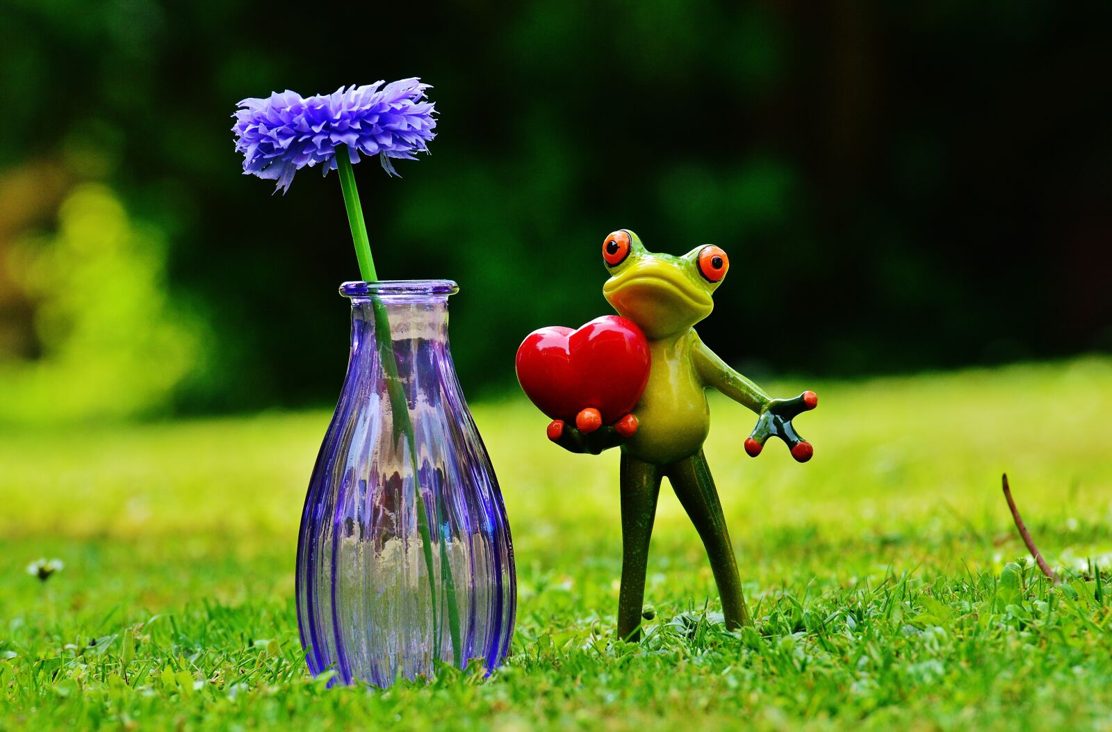 Nikon D3200 sample photo. Frog, love, valentine's day photography
