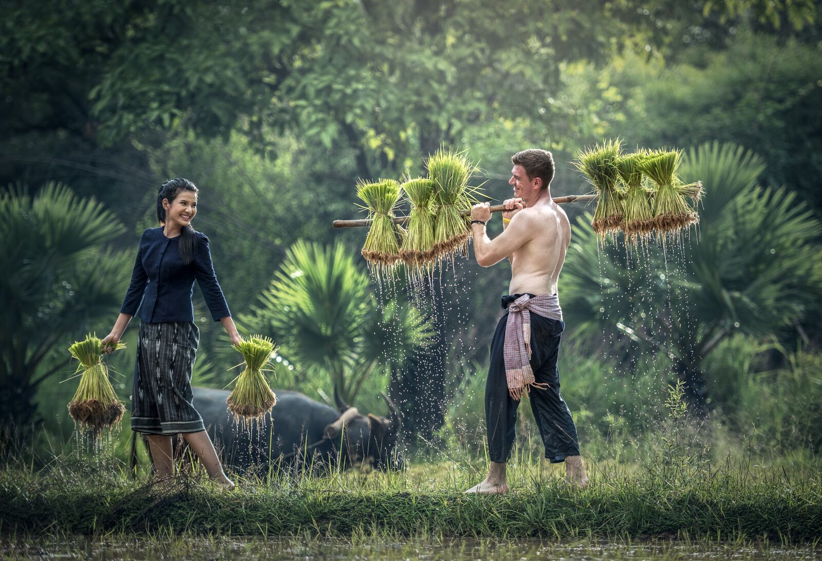 Nikon D810 sample photo. Harvesting, myanmar, burma photography