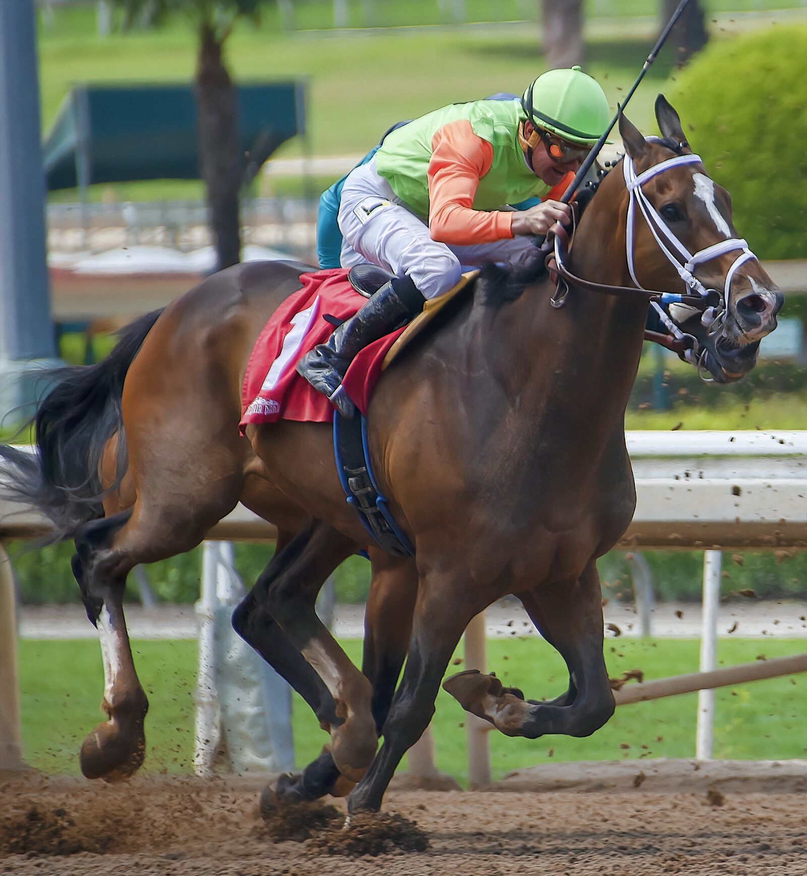 Nikon D850 sample photo. Horse, horse race, race photography