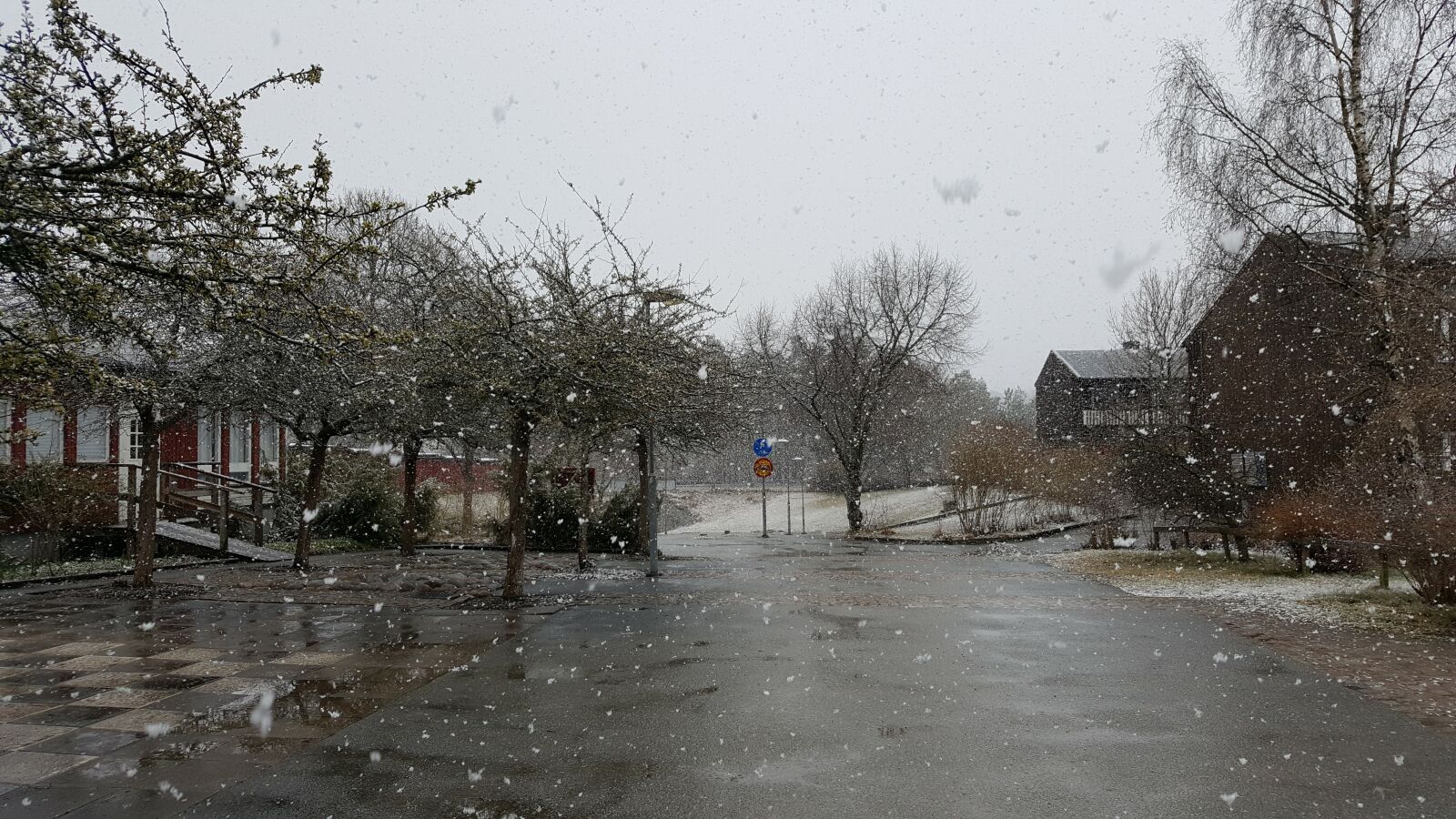 Samsung Galaxy S6 sample photo. Snow, snowflake photography