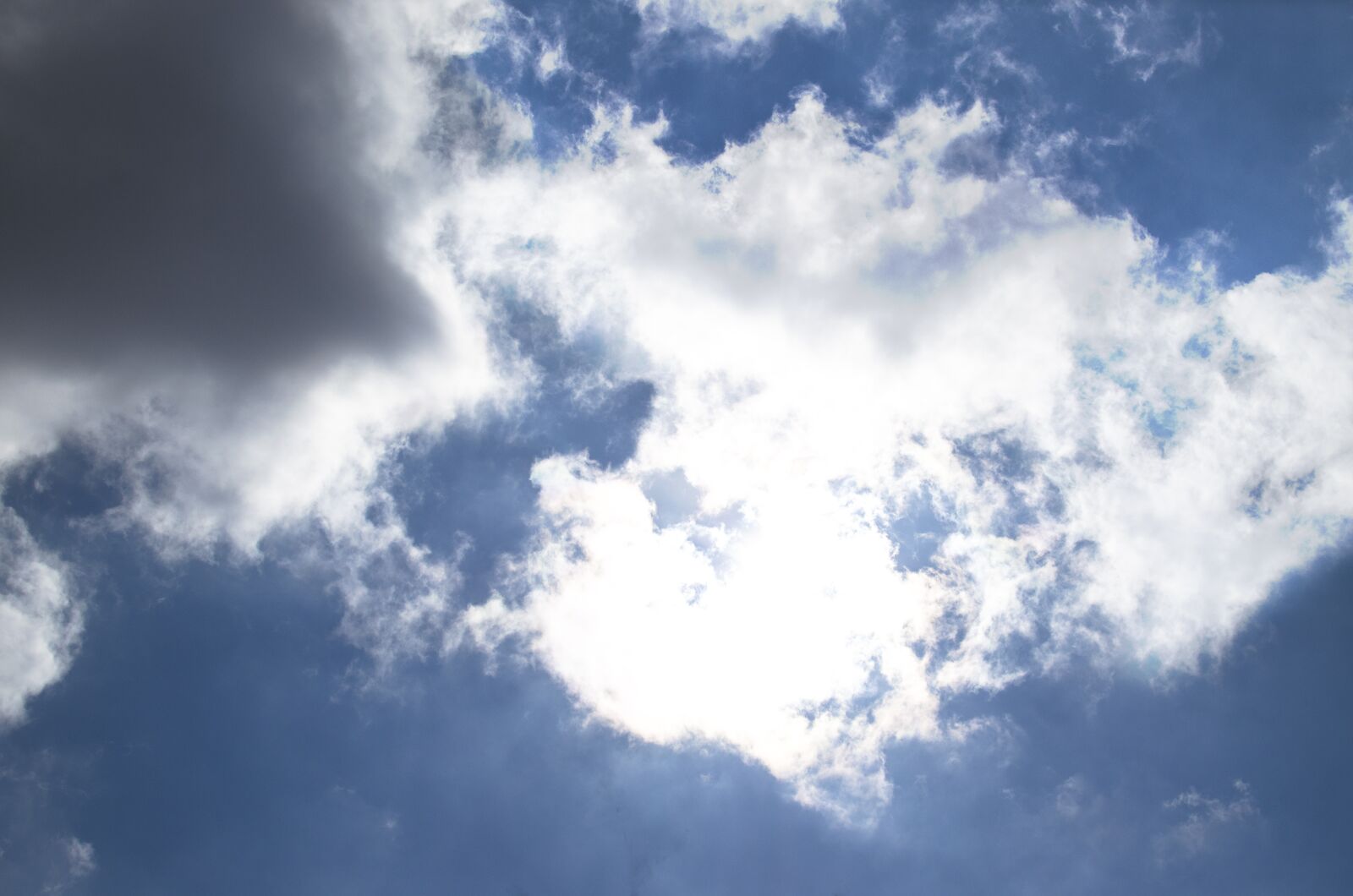 Nikon D5100 sample photo. Sun, summer, heaven photography
